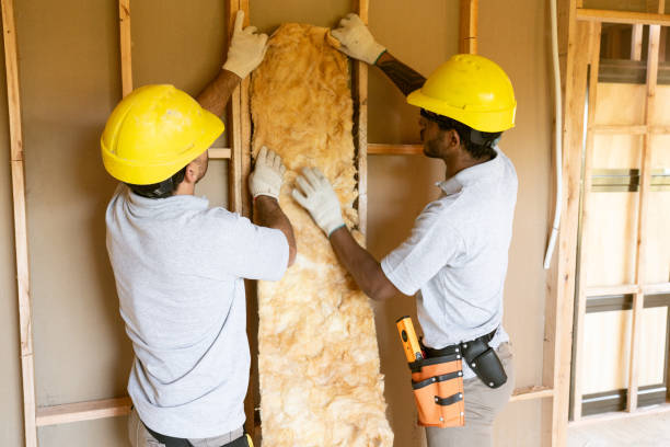 Best Insulation for New Construction  in Sturgis, SD